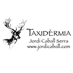 Taxidermia Jordi Caball